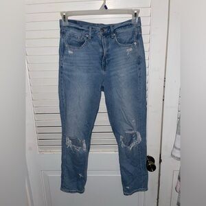 American Eagle Mom Jeans